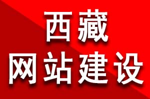 西藏酒店网站建设特色、设计、定位有哪些？