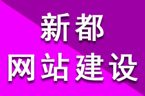 新都网站建设两种方式分享